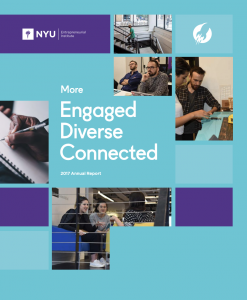 NYU Entrepreneurial Institute Annual Report 2017