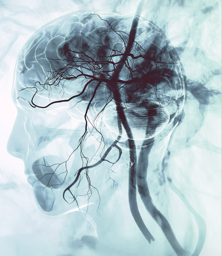 Beyond the Bench: CARA Systems’ Non-Invasive Triage Tool is ...